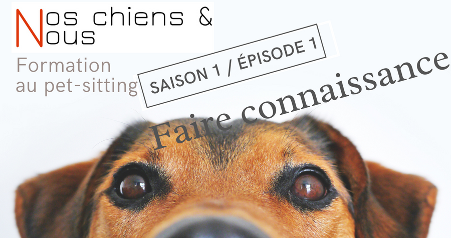 Faire connaissance
